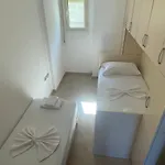 Oasi *